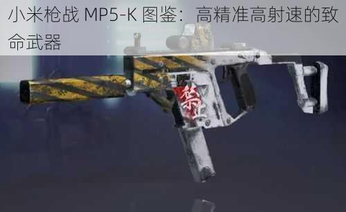 小米枪战 MP5-K 图鉴：高精准高射速的致命武器