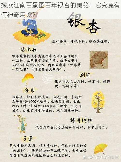 探索江南百景图百年银杏的奥秘：它究竟有何神奇用途？