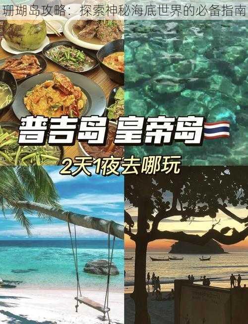 珊瑚岛攻略：探索神秘海底世界的必备指南