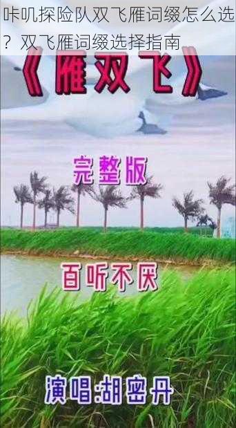 咔叽探险队双飞雁词缀怎么选？双飞雁词缀选择指南