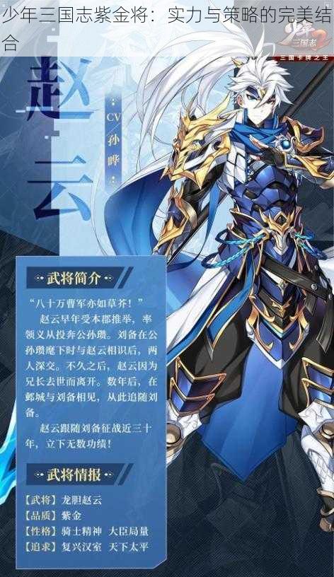 少年三国志紫金将：实力与策略的完美结合