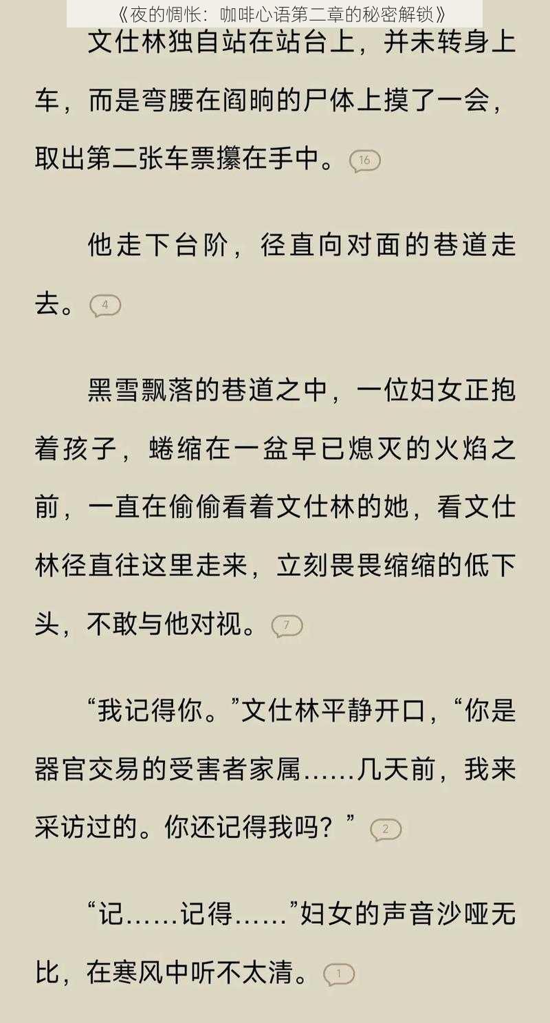 《夜的惆怅：咖啡心语第二章的秘密解锁》